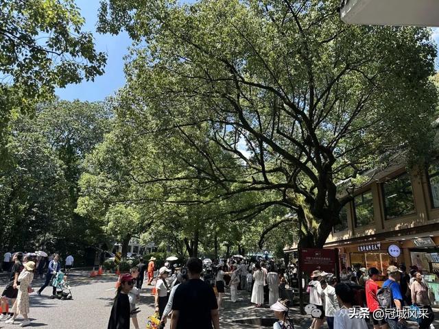 杭州印象·灵隐飞来峰