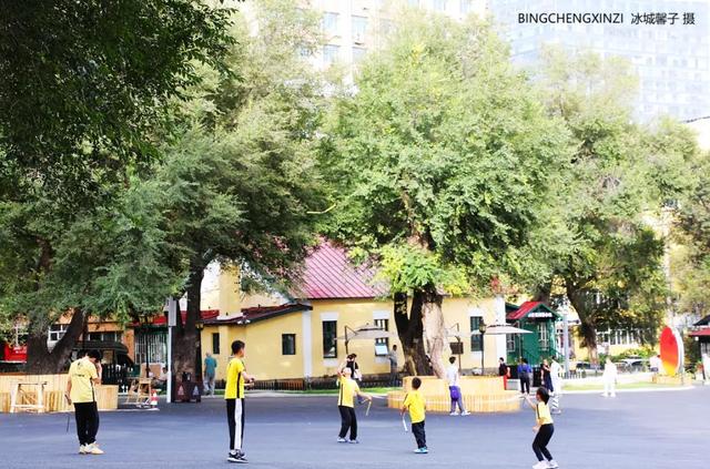徜徉花园街区：与哈尔滨的温柔时光重逢