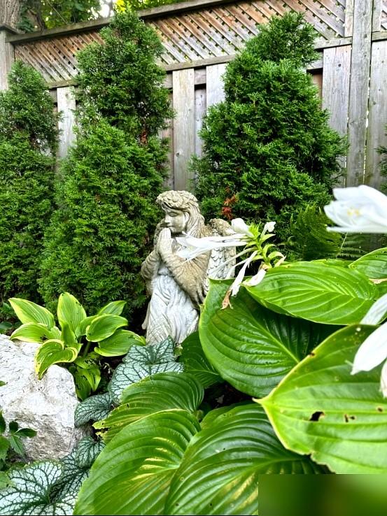 “阴花不能进阳宅”！家里若有这5种花，请赶紧“搬出去”！