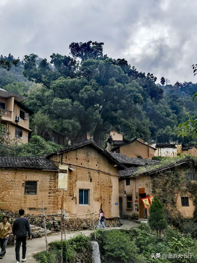 进山寻觅松阳的古村落，结果让我看到了与北方不一样的地方