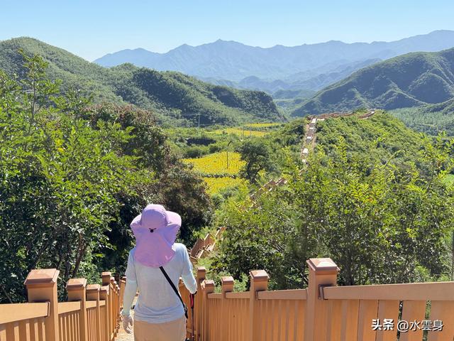 🌻【昌平区溜石港村高山梯田向日葵花海旅游攻略】🌻