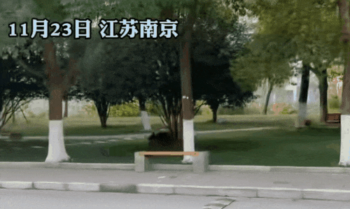 远离禽兽