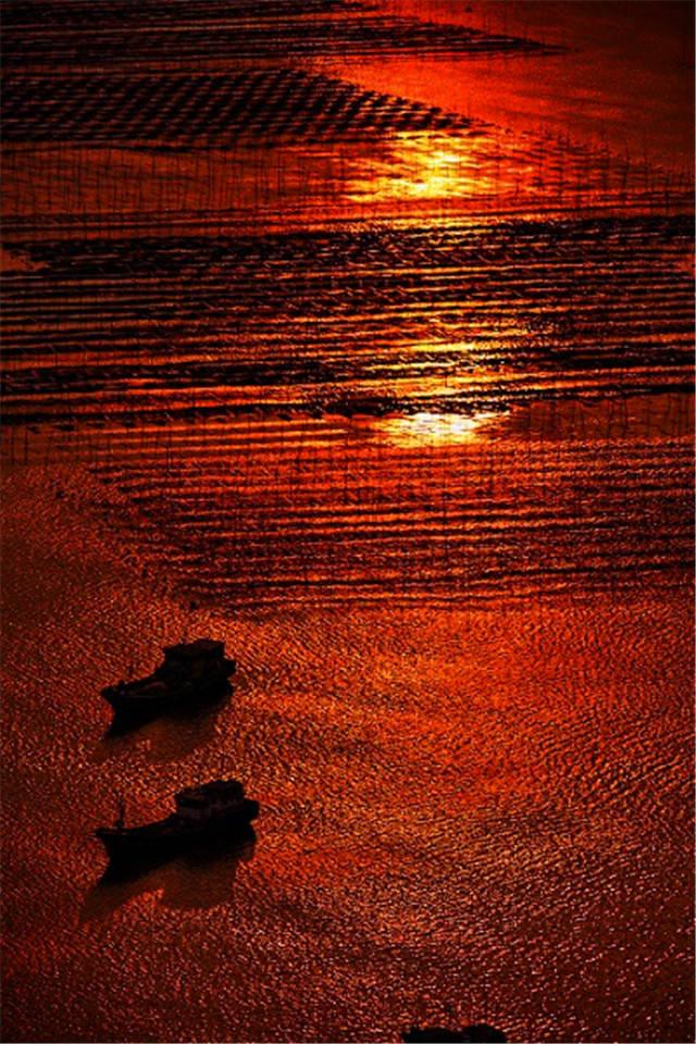 这是油画还是实景？太美太美啦！！