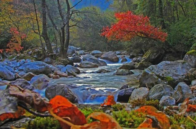 雨过天晴，青峰峡藏着一整个秋天的惊艳！