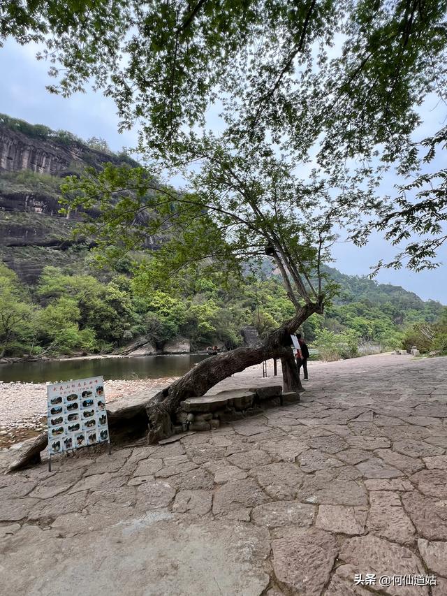 武夷山，其标志性的景点即玉女峰，也是福建省的地标