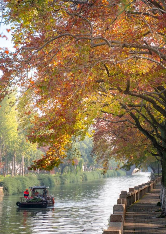 苏州处处的皆景！美！美！美！