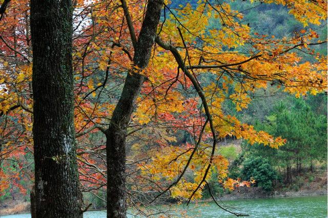踏歌山水之间，不负秋日好时光。
