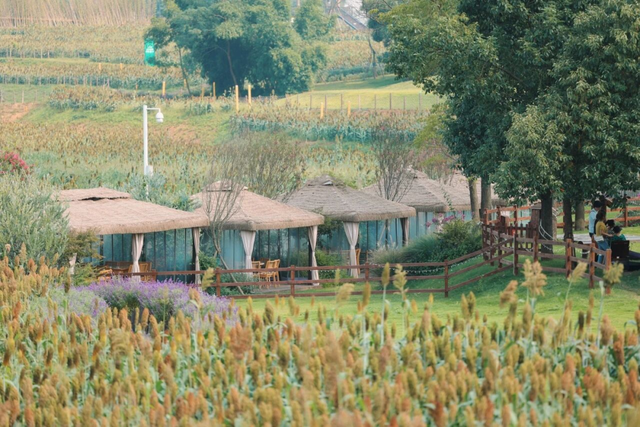 收拾收拾，又有景区“升咖”了