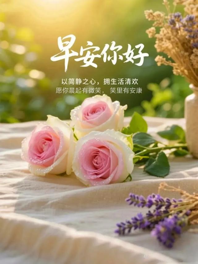 早安！适合周日发的朋友圈早安文案，愿被岁月温柔以待，美好相伴