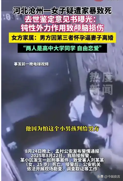 央视通报！河北金某杀妻判死刑，女方想夺遗子抚养权，却难上加难