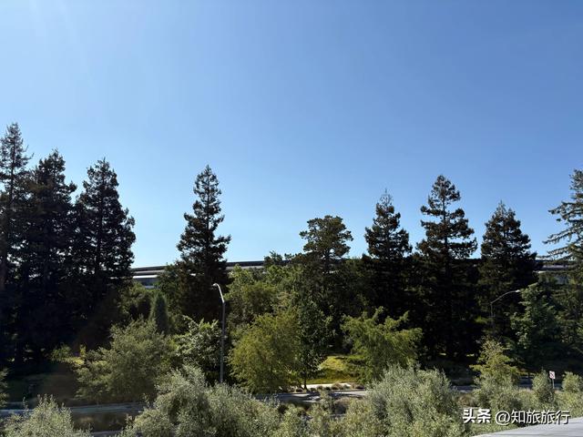 2025环球知旅——到达旧金山（5.4）