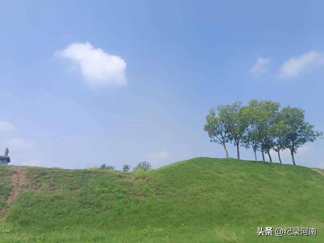商丘黄河故道：生态画卷中的自然诗篇