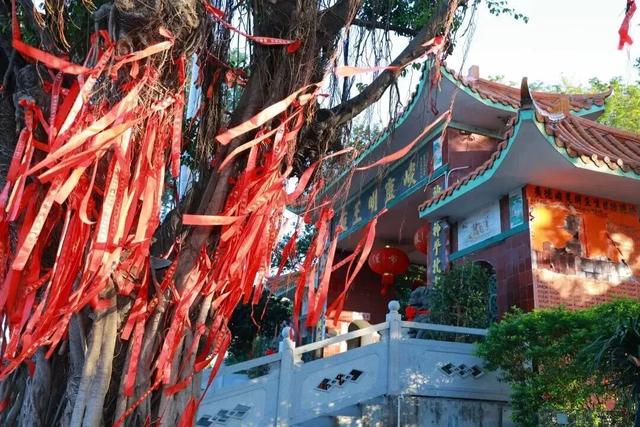 跟着“琼超”游昌江！这份「景点打卡攻略」请收好
