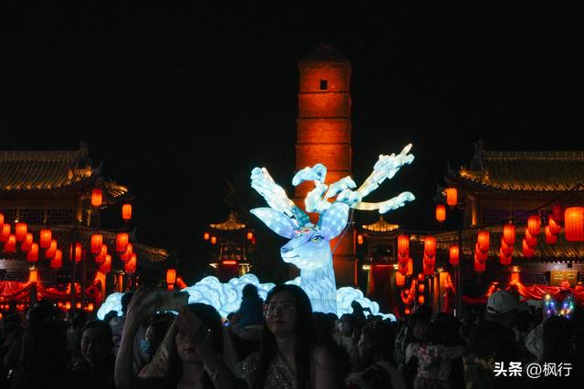 唯有洛阳，能让牡丹不只是花，而是历史本身