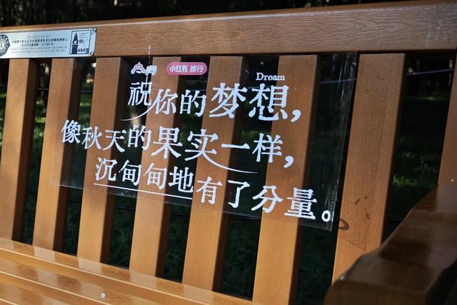 你会怀念这个秋天吗?