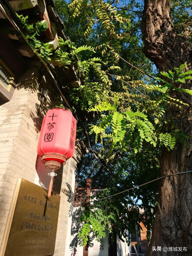 立秋 | 暑假余额不足，来十笏园文化街区把清爽与快乐续到满格