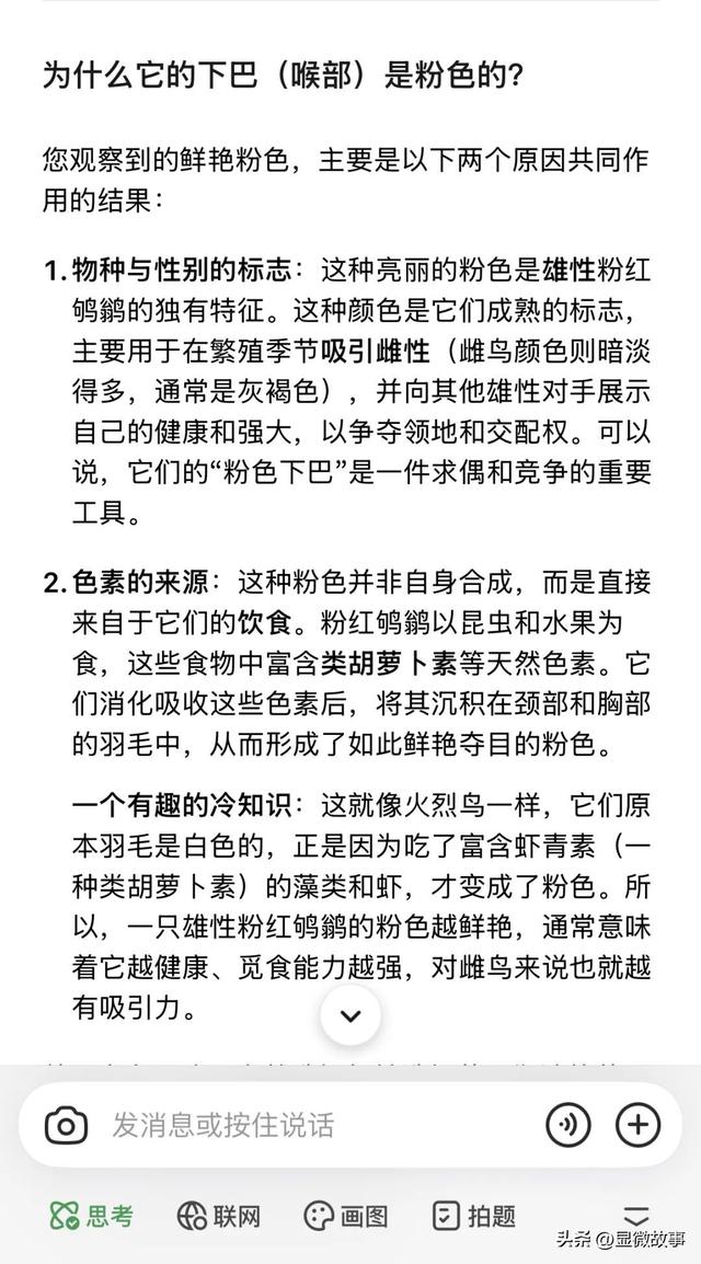 当Zoo Walk成为都市爆款 ，当代年轻人从“萌物”中寻求疗愈
