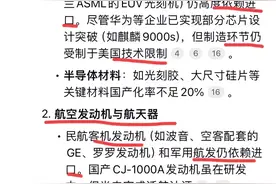 中国还有什么是必须从国外进口的？Deepseek的答案正确吗图片