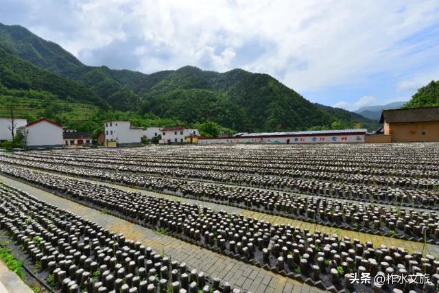 双节同庆·畅游柞水-美丽乡村·田园诗画之旅