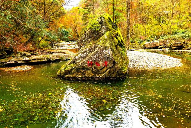 初冬梨平，是秋意没藏好的温柔