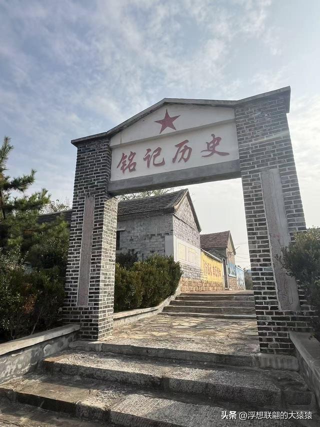 泰安肥城西陆房村里的大白菜