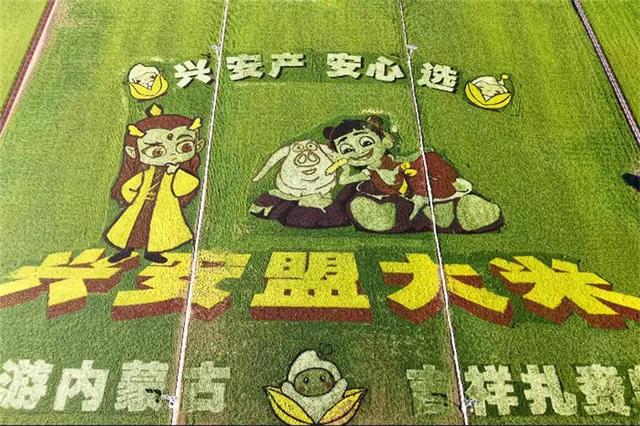 秋光恰好 稻浪逐风| 秋天藏不住！扎赉特满是浪漫诗意