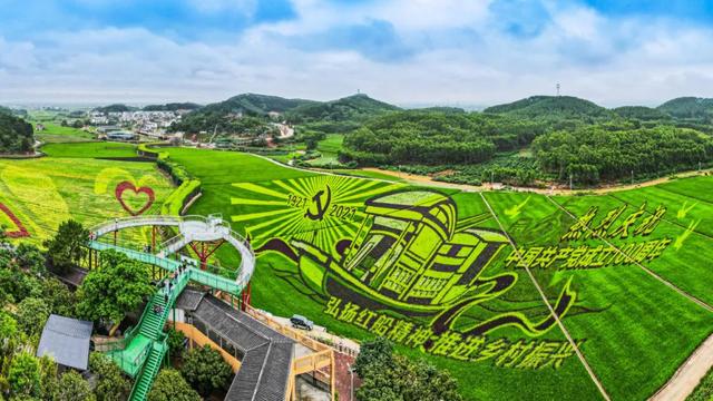 乐享田园·趣游南宁│稻香壮韵寻趣之旅