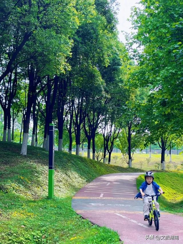 一条路，串起5个公园