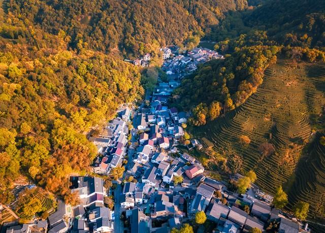 杭州人私藏的红叶地图曝光！这5个地方藏着江南最极致留恋的秋！