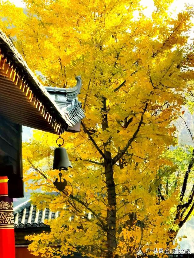 周末出发!在恋乡·太行水镇，做一场限定版的山水闲梦