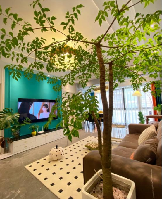 河北一太太，在“客厅种大树”，那叫一个壮观	，妥妥的视觉盛宴