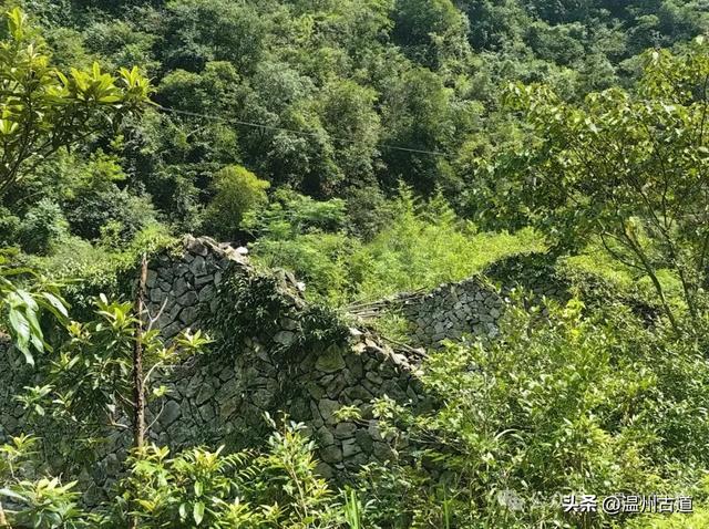 温州这处山水秘境、天然氧吧，人迹稀少风景绝美，秘藏了隐世古村