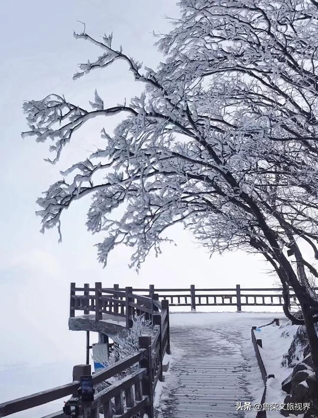 冬日连云港：一半冰雪，一半沧海的浪漫秘境