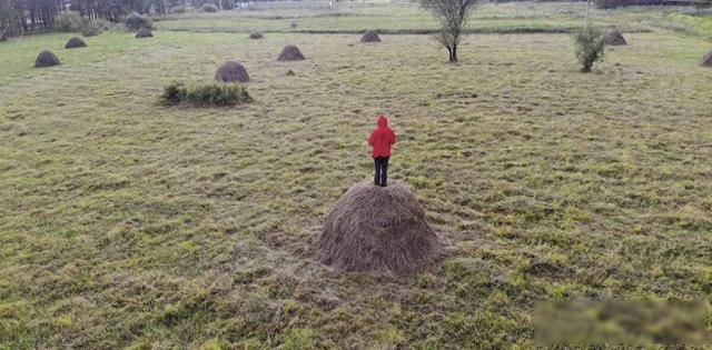 “三人不上坟，后代子孙旺”，哪三类人不能上坟？上坟有啥讲究？