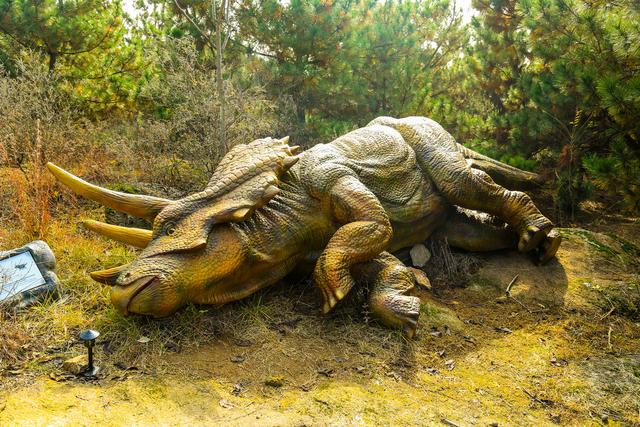 泗水县万紫千红旅游区：静谧而斑斓的生态画卷