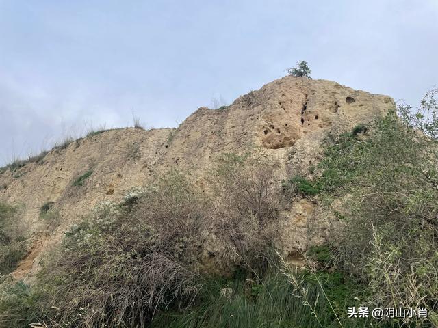 呼和浩特市托克托县田野考察笔记
