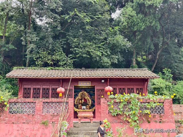 成都徒步（69）·彭州篇⑯法藏寺环线（桥断未走通）