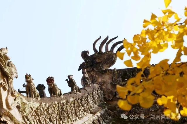 邂逅千年银杏，共赴一场时光之约