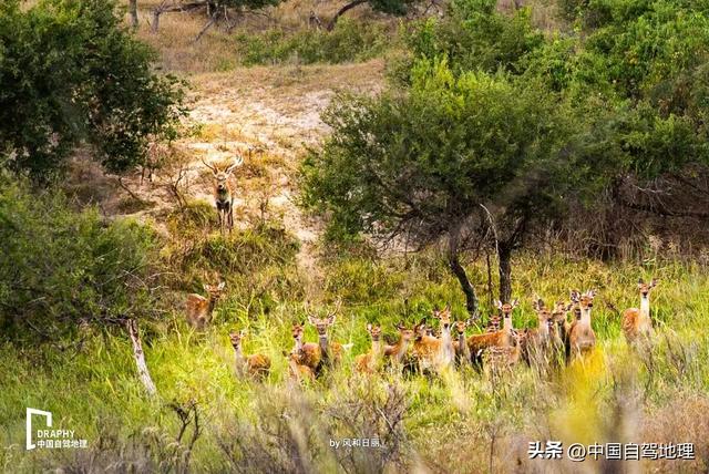 承包最治愈的冬日秘境！收下这份超详细赏玩攻略，12月出发正好
