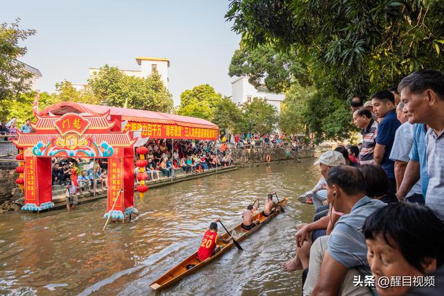 激活“银发力量”！杏坛古朗邀你共赴长寿文化盛宴