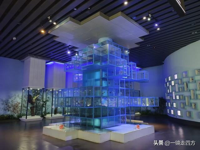 通化市自然博物馆