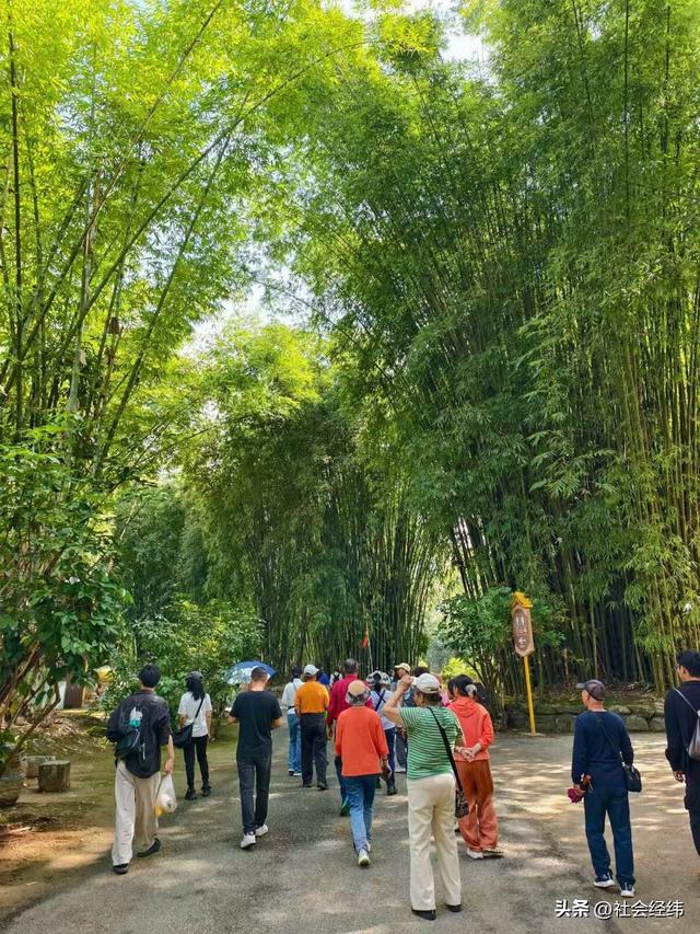【每日一景】云南德宏勐巴娜西珍奇园