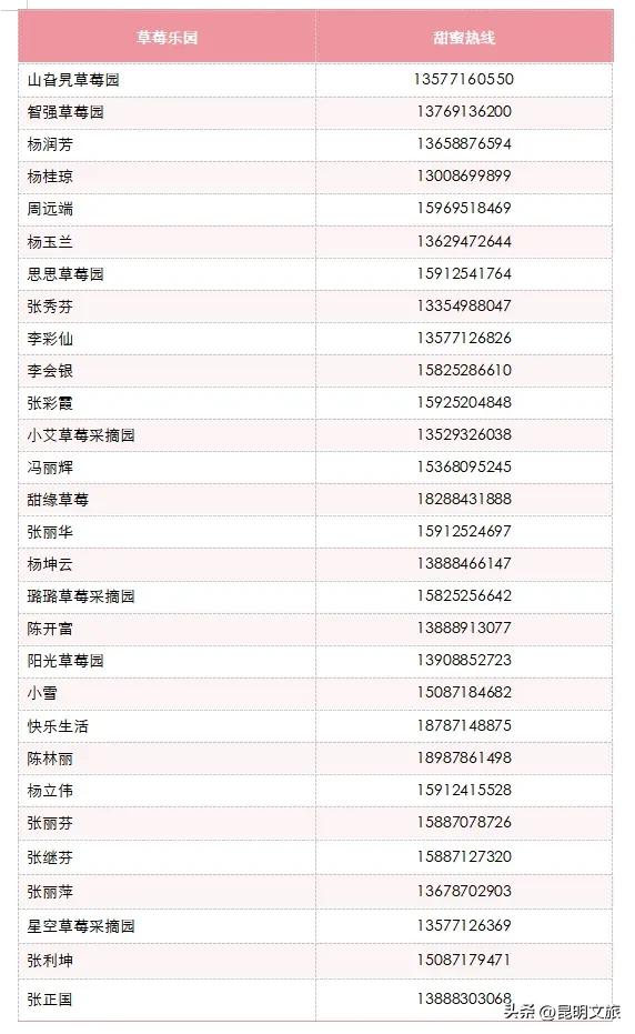 别再问昆明哪里能摘草莓了！收下这份采摘地图，直接抄作业→