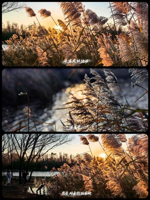 用电影的方式“打开”初冬！每一帧，都浪漫