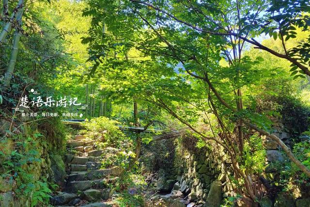 浙江宁波桥坑山麓的古村，既是文化名村又是景区村庄，景色确实美