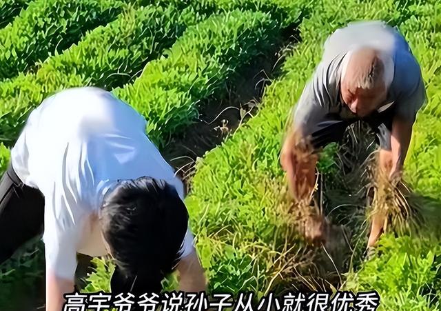 开局天崩，679分寒门贵子考上国防科技大学，恶心的一幕却发生了