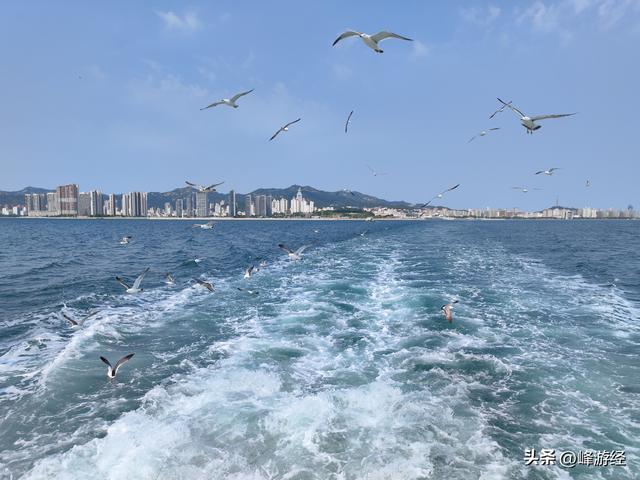 海鸥伴飞登上刘公岛，徒步探秘从甲午战争陈列馆到东泓炮台