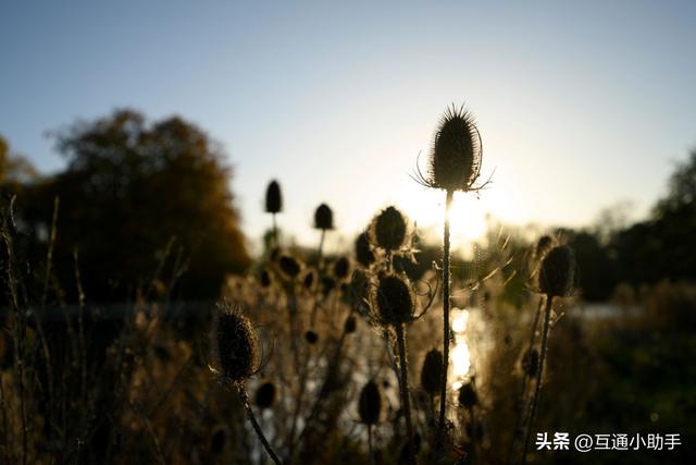 尼康Nikkor Z 17-28mm f/2.8 镜头评测