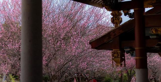 福建大反转！莆田杀出重围，福州泉州都没预判，凭什么火遍全国？