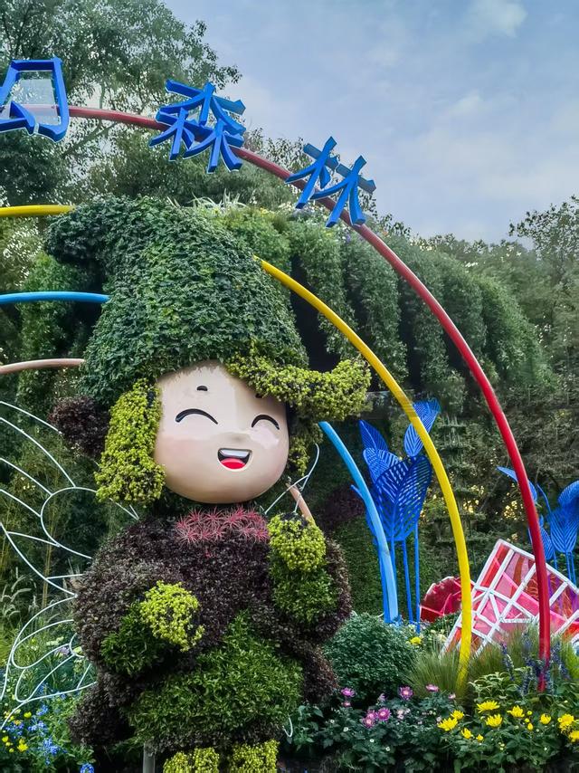 11月30日:2025年上海菊花展华丽登场